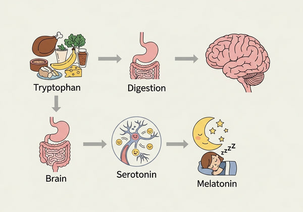 Sleep and nutrition for children: the protein connection