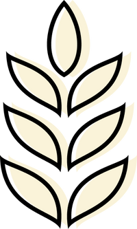 5-6 g Fiber per roti